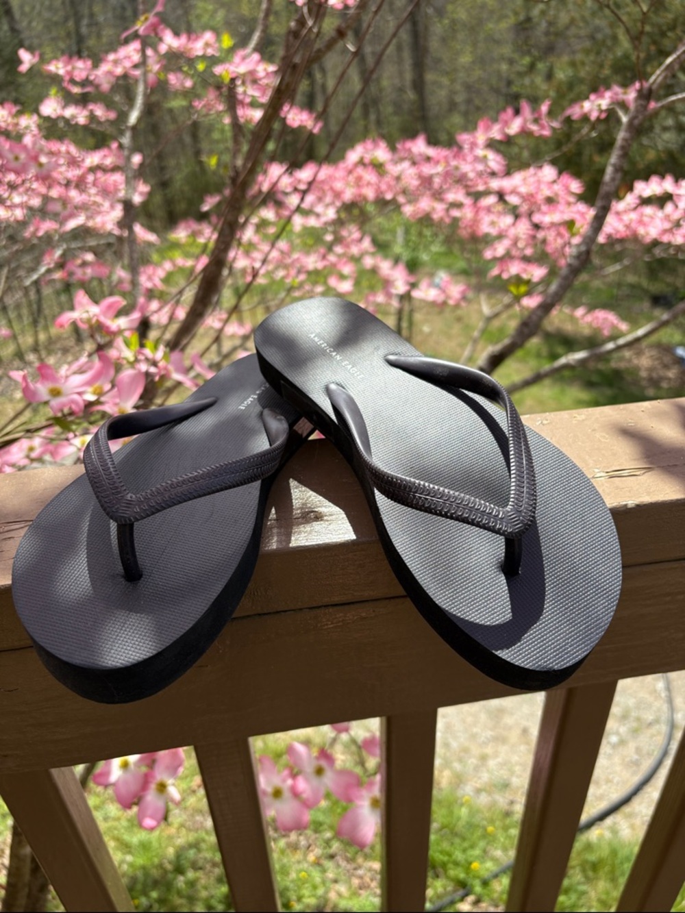 Brand new never worn women’s American Eagle flip flops